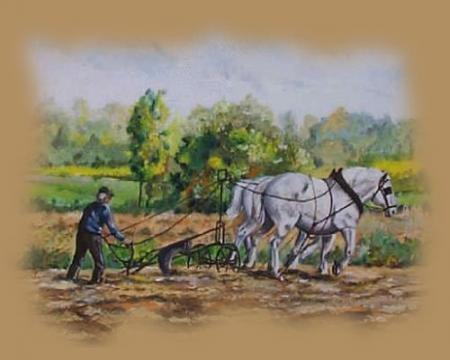 Les défricheurs